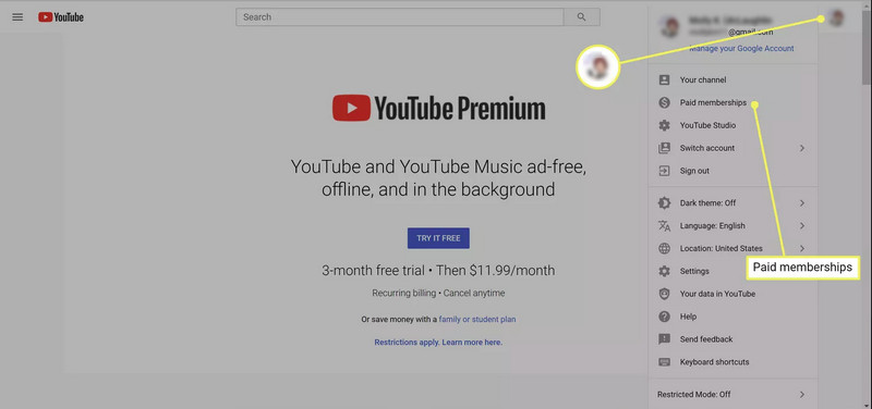 youtube premium paid memberships