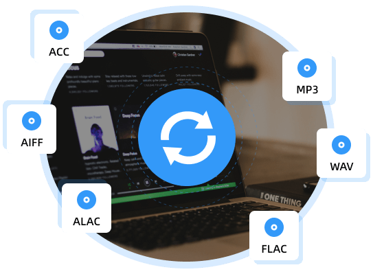 Output Formats 